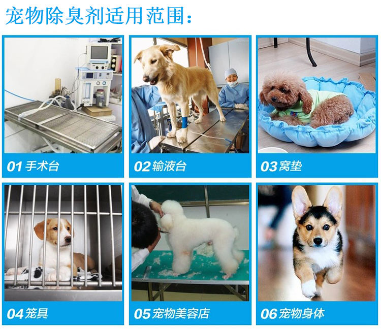 除臭!2449258861.jpg