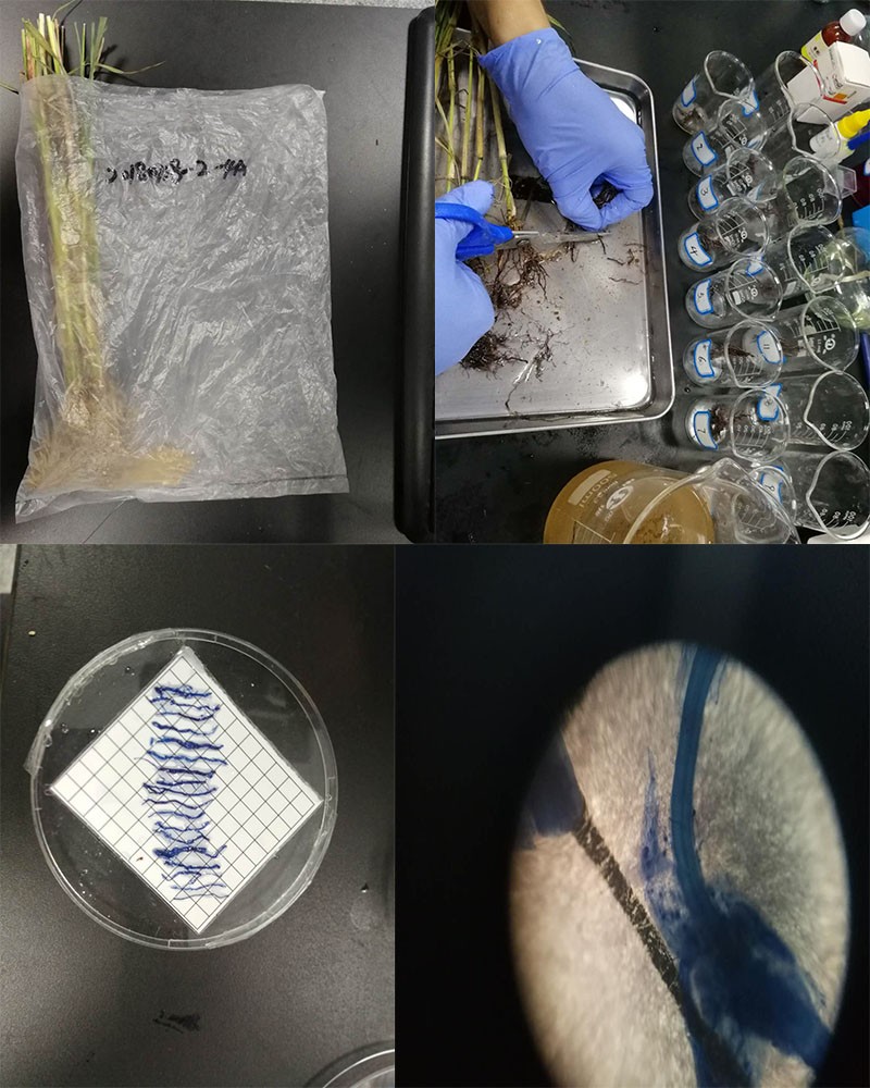 乾界生物微生物技术试验.jpg