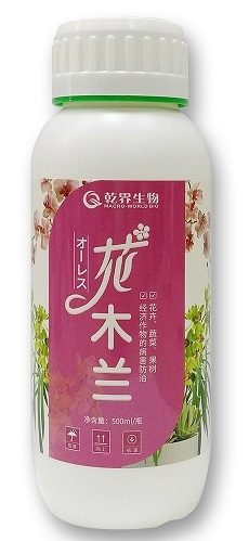 花木兰正.jpg