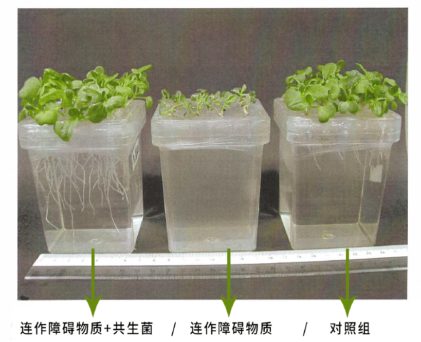 微信截图_20190808143955.png