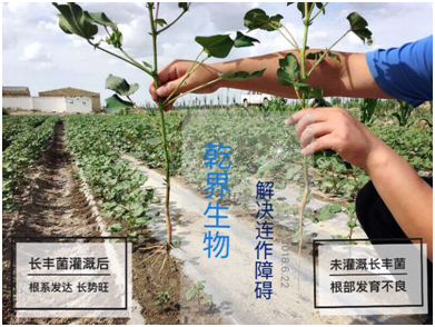微信图片_20190808112636.png