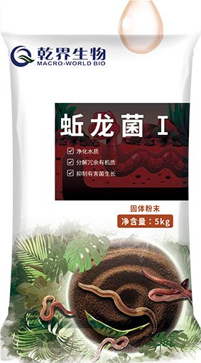 蚯蚓2.png