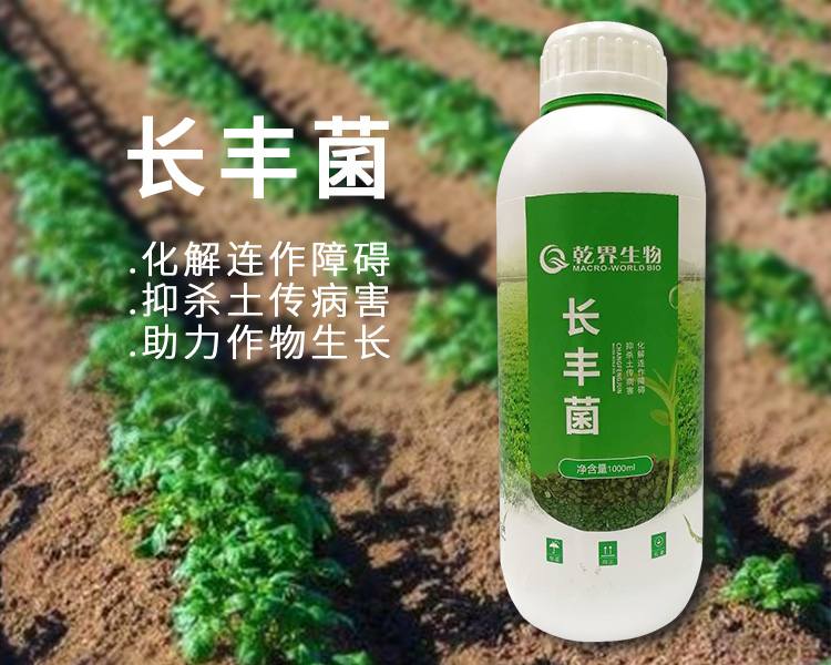 长丰菌.jpg