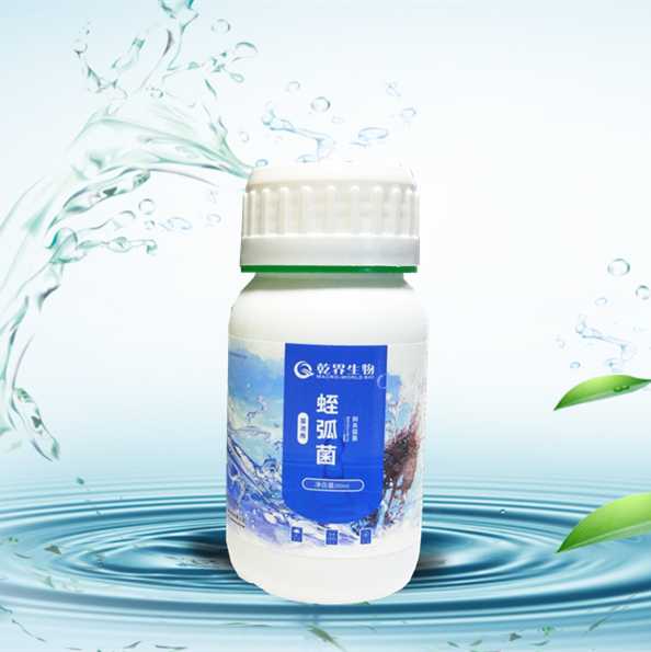 蛭弧菌.jpg