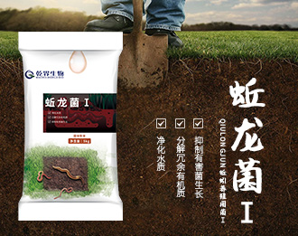 蚯龙菌1-330.jpg