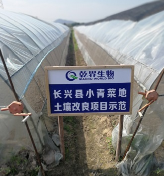 乾界生物长兴小青菜示范项目.jpg