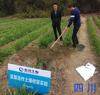 乾界生物四川韭菜示范项目.jpg
