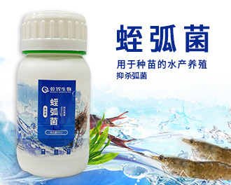 蛭弧菌330.jpg