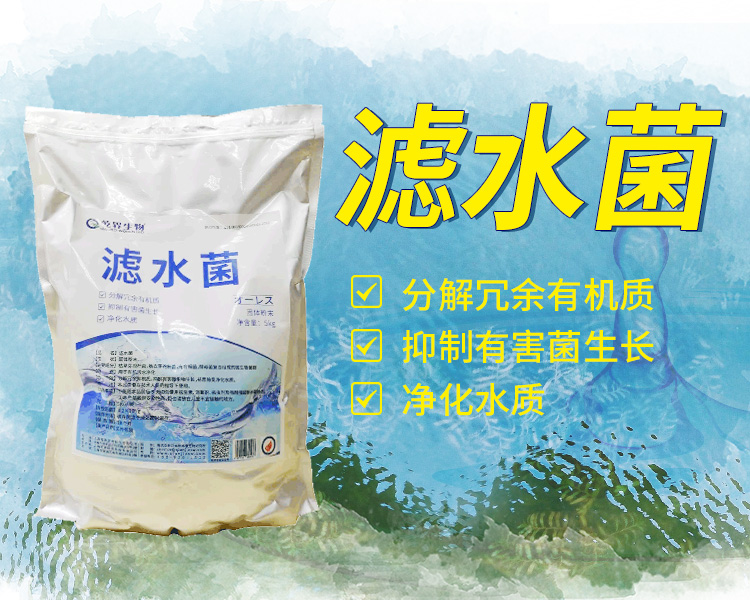 滤水菌.jpg