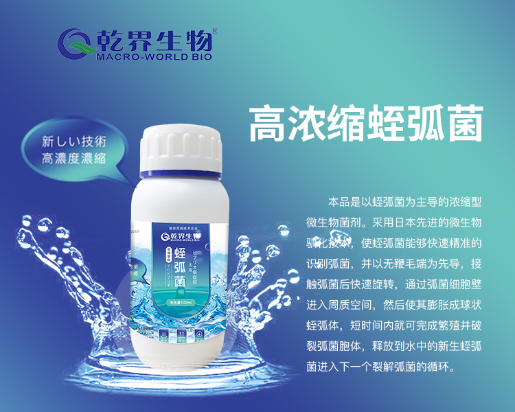 100ml蛭弧菌图.jpg