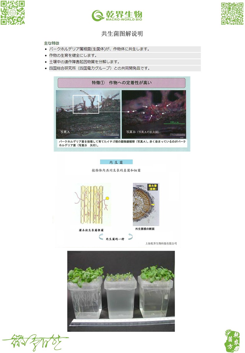 1605146888521483.jpg