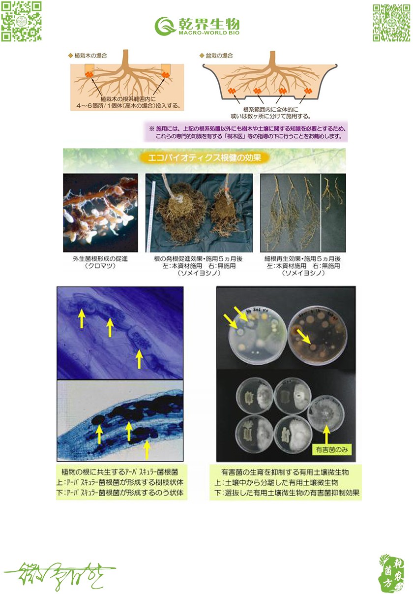 1605146888751311.jpg